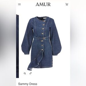 Amur Sammy Dress size 12 Stretchy Thick Denim